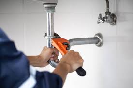 Best Commercial Plumbing Services  in Manchester, MI